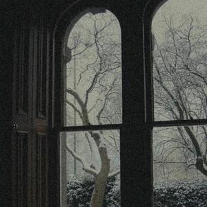 小志和林姨 全文阅读
